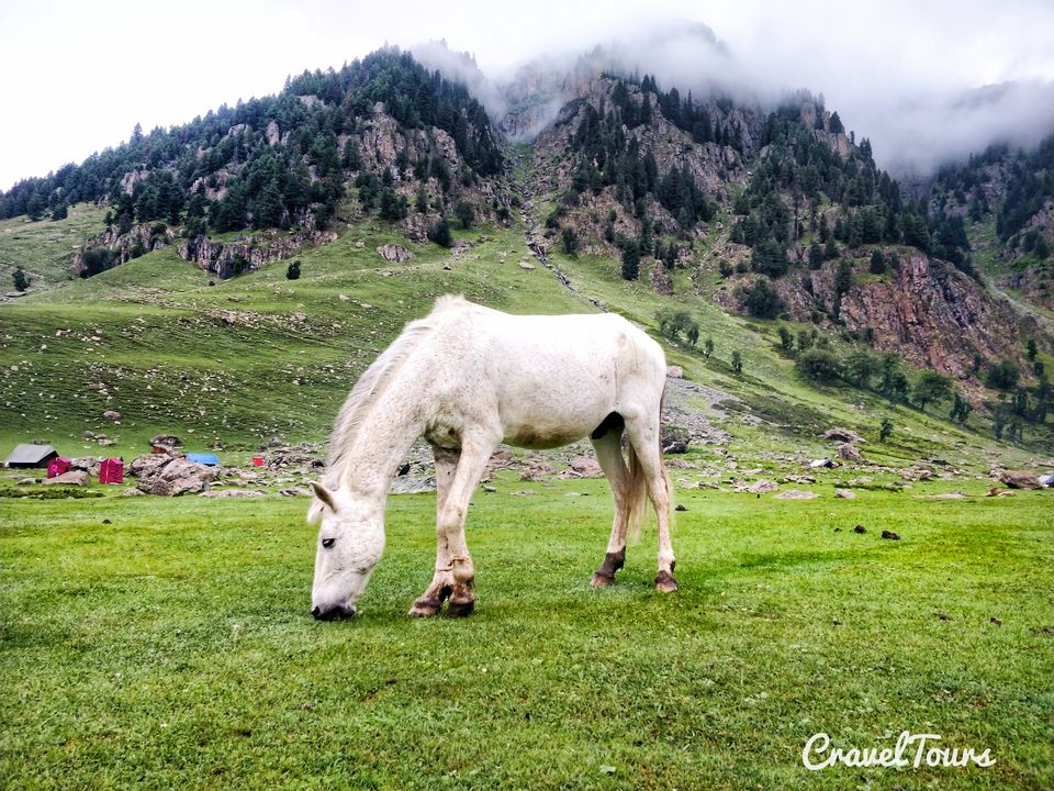 Photo of Wheels to Shoes: A road-tripper's transitional chronicle for trek to Tarsar-Marsar (Kashmir) by Sameer Wadhwani