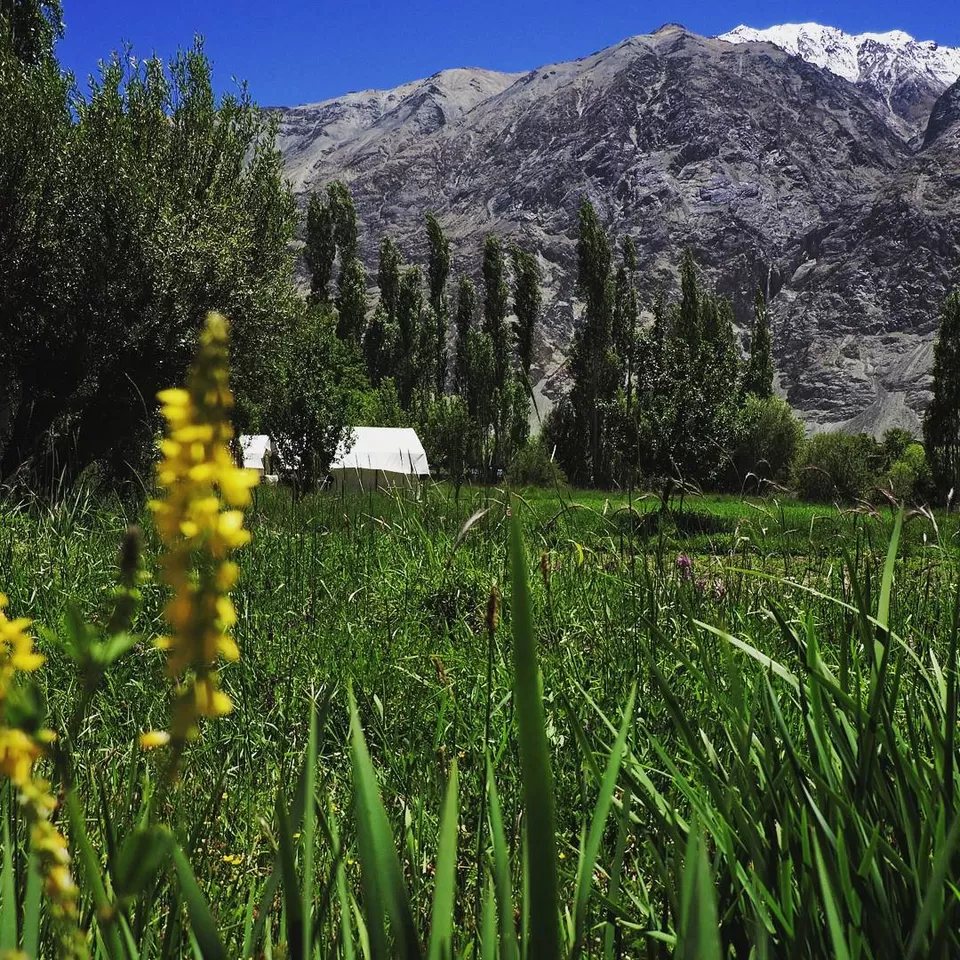 Photo of 'Inception' of a dream ride to Ladakh by Sameer Wadhwani