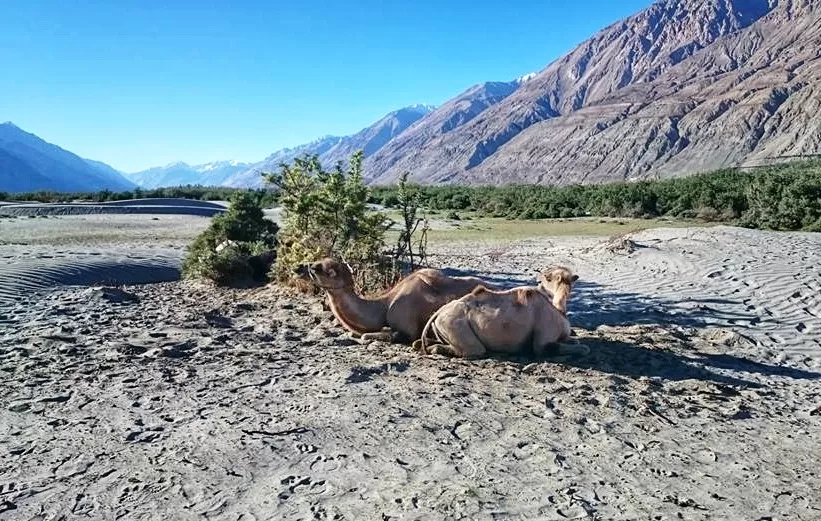 Photo of 'Inception' of a dream ride to Ladakh by Sameer Wadhwani