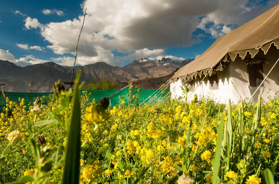 Photo of 'Inception' of a dream ride to Ladakh by Sameer Wadhwani