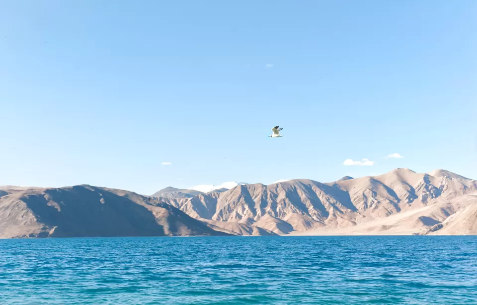 Photo of 'Inception' of a dream ride to Ladakh by Sameer Wadhwani