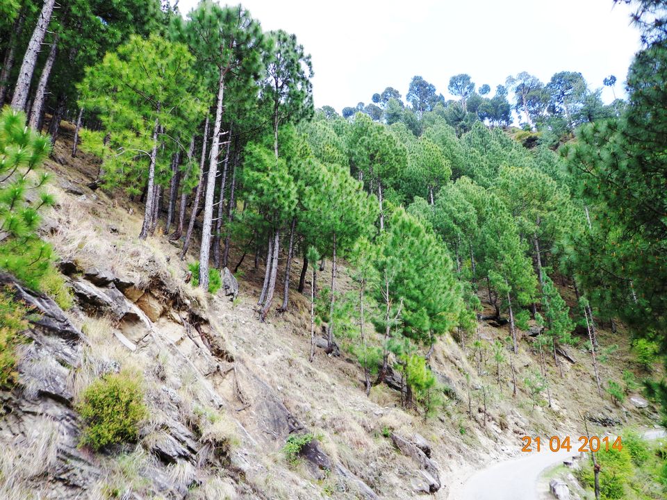 Photo of Live Young, Drive Free : Escape to Himachal and Rishikesh by Sameer Wadhwani