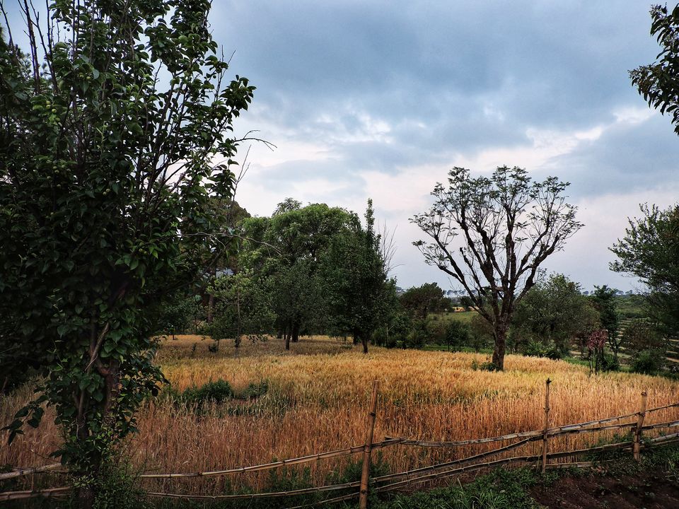 Photo of Get this Wellness Retreat on your vacation radar for a rejuvenating escape! by Sameer Wadhwani