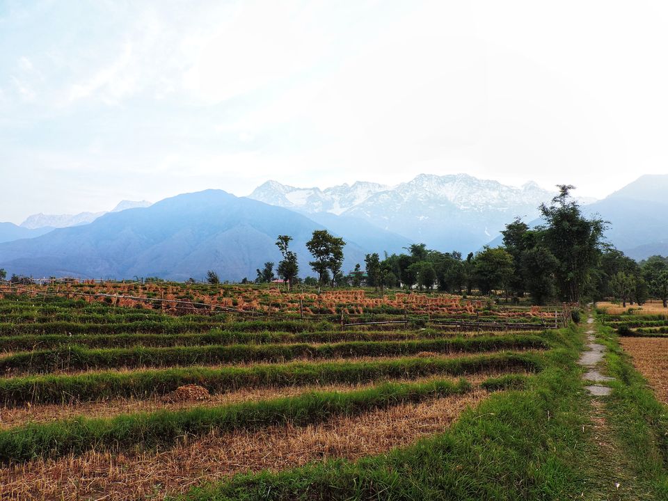 Photo of Get this Wellness Retreat on your vacation radar for a rejuvenating escape! by Sameer Wadhwani