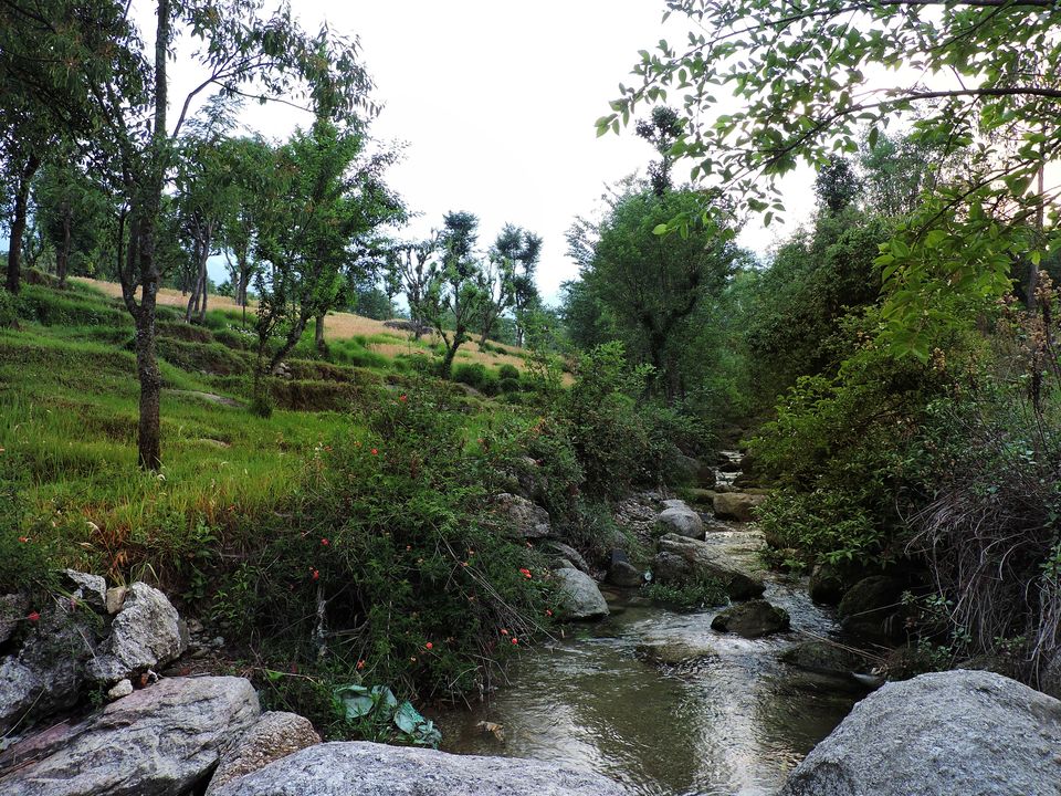 Photo of Get this Wellness Retreat on your vacation radar for a rejuvenating escape! by Sameer Wadhwani