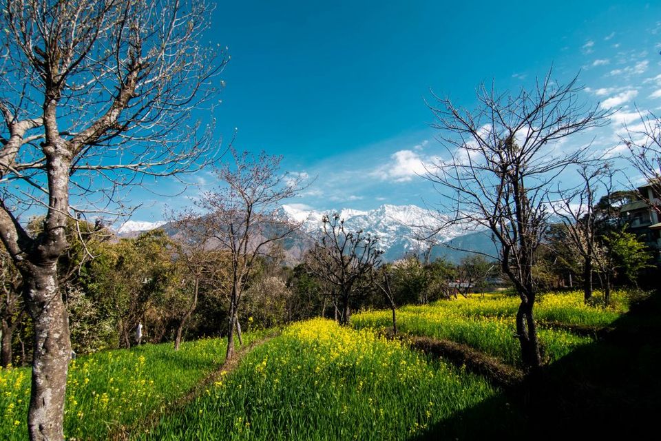 Photo of Get this Wellness Retreat on your vacation radar for a rejuvenating escape! 3/4 by Sameer Wadhwani
