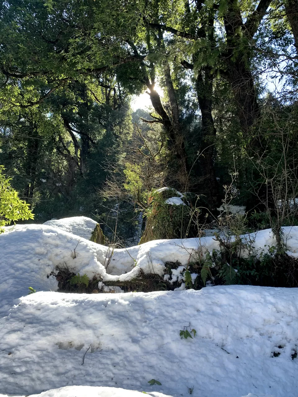 Photo of Auli, Uttarakhand, India by Vipul Asthana