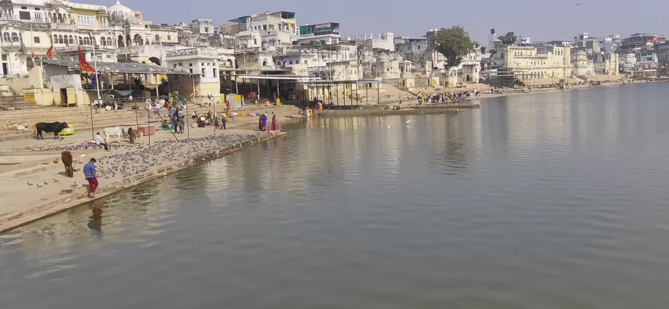 Photo of Pushkar, Rajasthan, India by Vipul Asthana