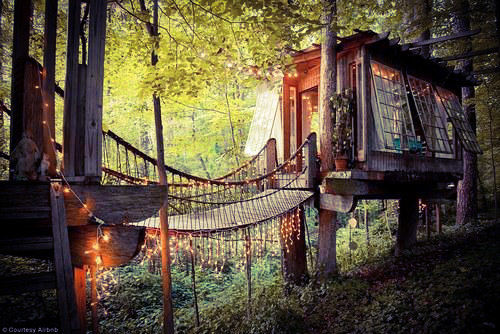 Photo of Eight Unknown Himalayan Tree-houses that one can experience during the Lifetime 1/2 by Dedipya Basak