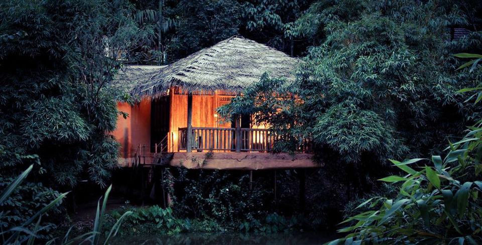Photo of Eight Unknown Himalayan Tree-houses that one can experience during the Lifetime 2/2 by Dedipya Basak