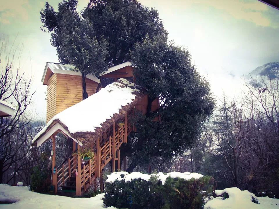 Photo of Manali, Himachal Pradesh, India by Dedipya Basak