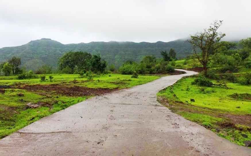 Photo of Torna Fort, Rajgad - Torna Trek Path, Charhat Wadi, Maharashtra, India by Kinjal Gala