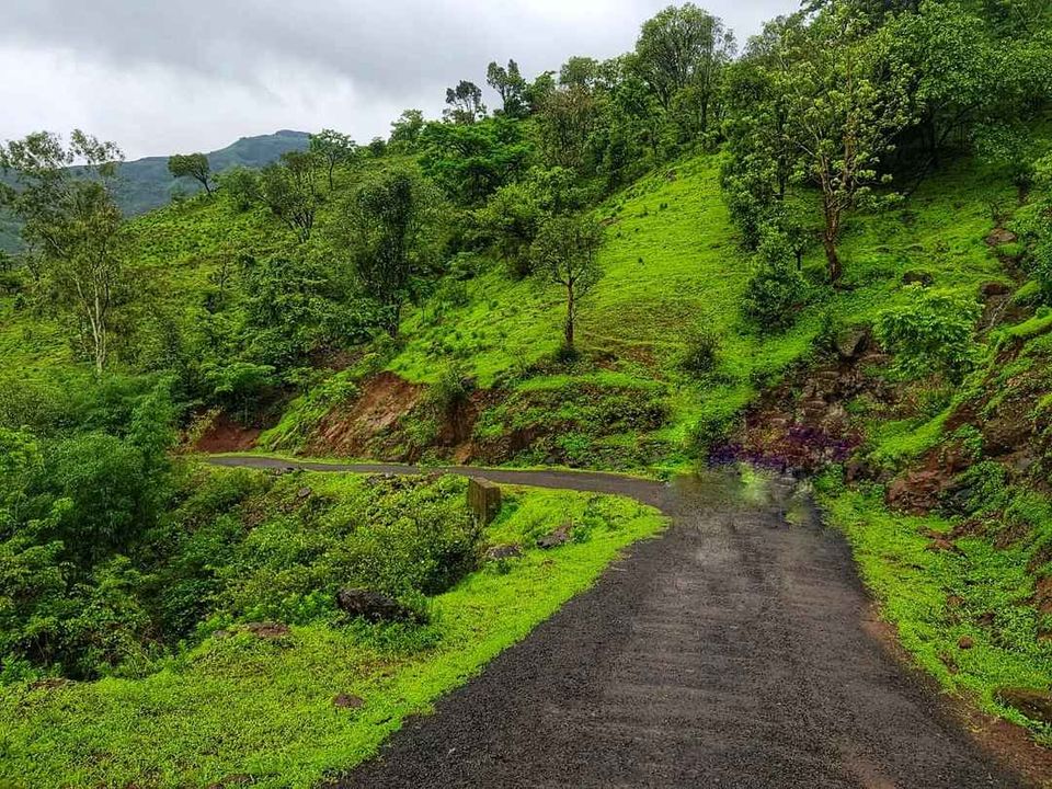 Photo of Torna Fort, Rajgad - Torna Trek Path, Charhat Wadi, Maharashtra, India by Kinjal Gala