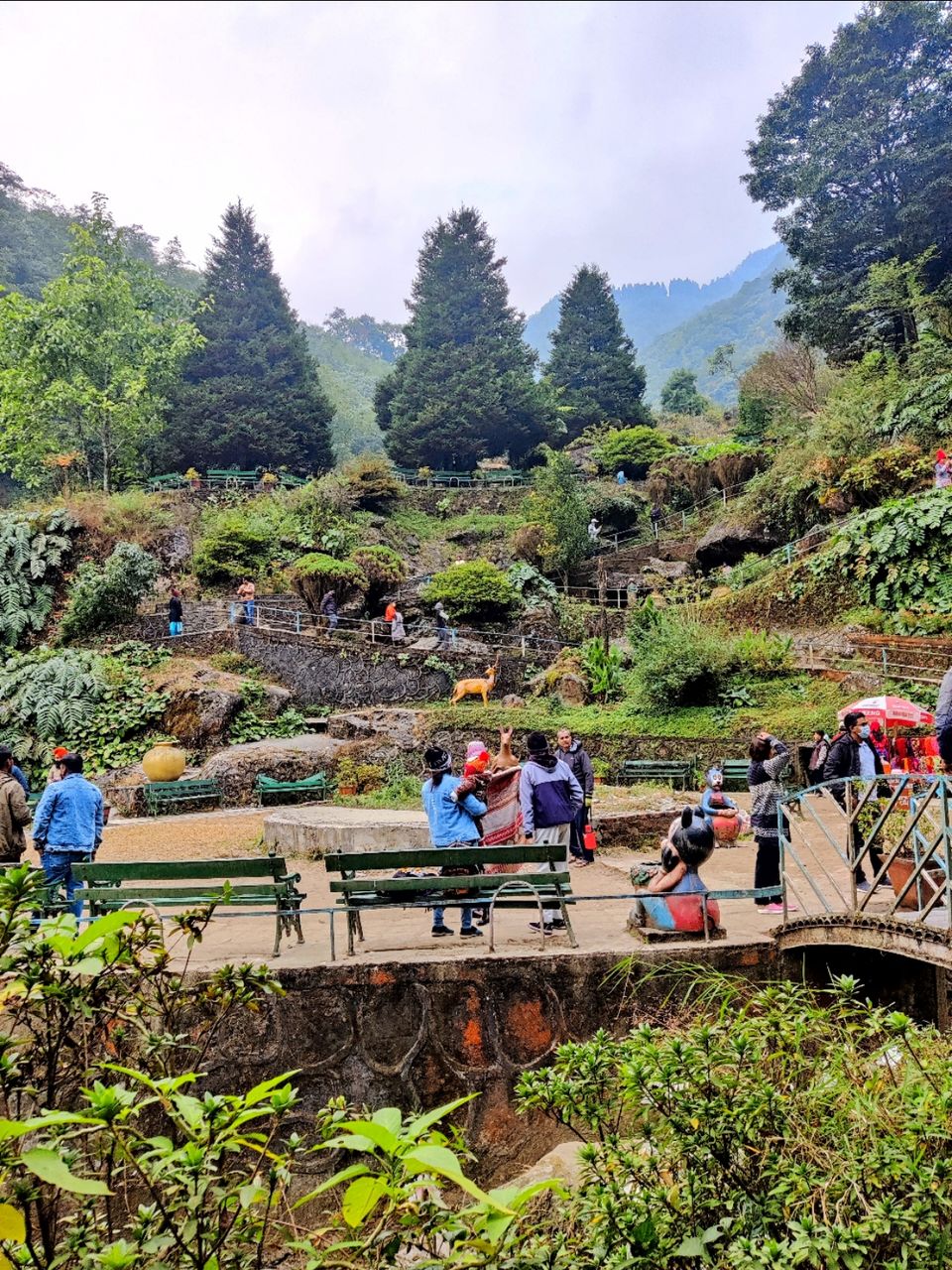 Photo of Rock Garden, Darjeeling, Darjeeling, West Bengal, India by Kinjal Gala
