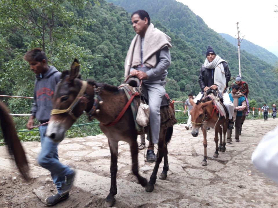 Photo of Trip to Rishikesh & Kedarnath Temple by Dharmveer