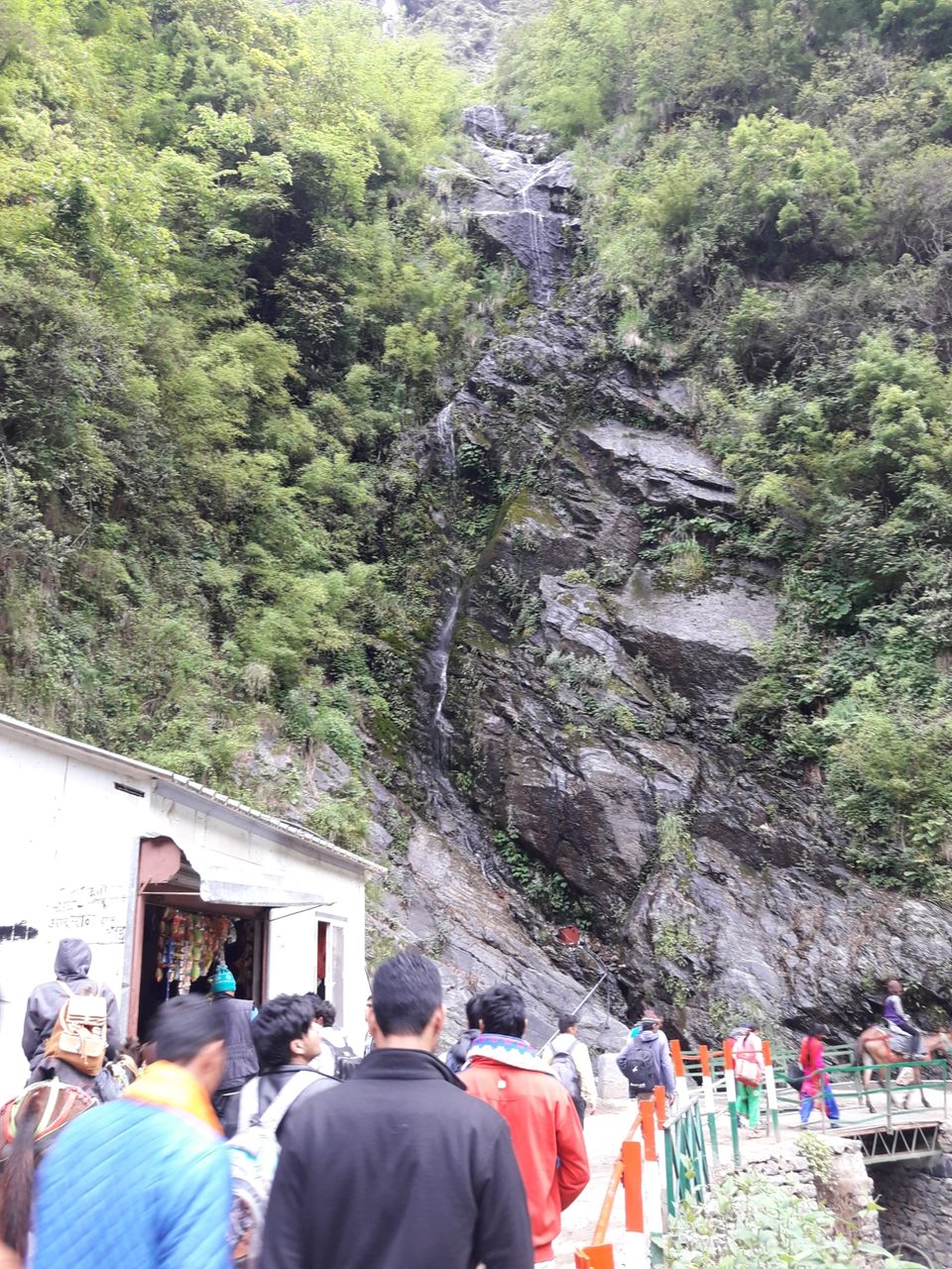 Photo of Trip to Rishikesh & Kedarnath Temple by Dharmveer