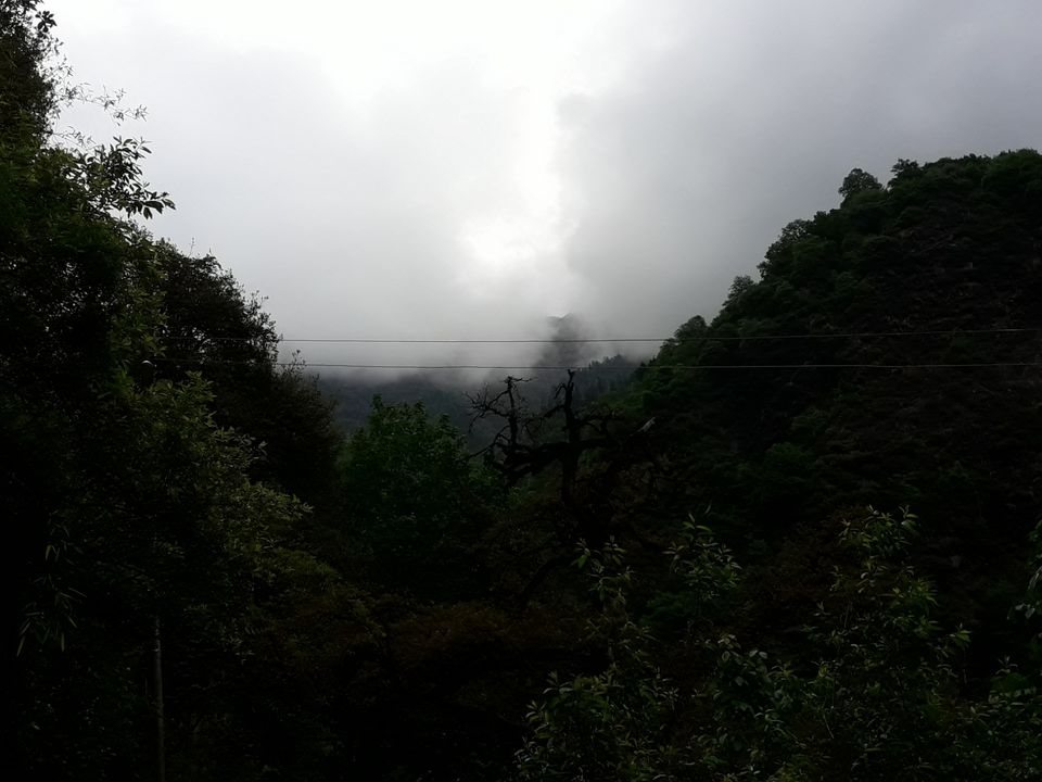 Photo of Trip to Rishikesh & Kedarnath Temple by Dharmveer