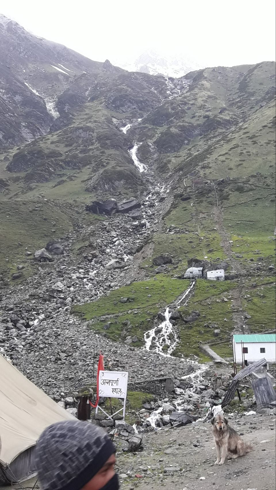 Photo of Trip to Rishikesh & Kedarnath Temple by Dharmveer