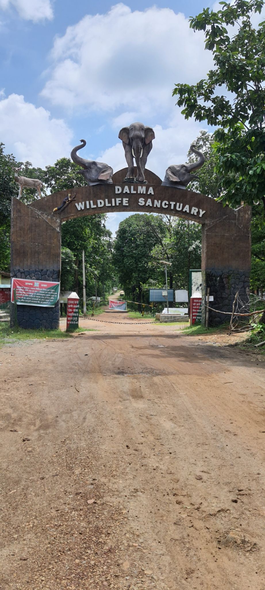 Photo of Dalma Wildlife Sanctuary by Dharmveer