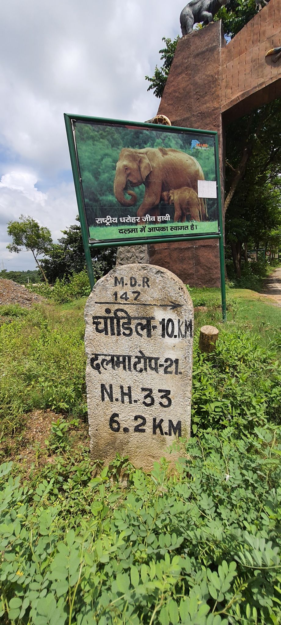 Photo of Dalma Wildlife Sanctuary by Dharmveer