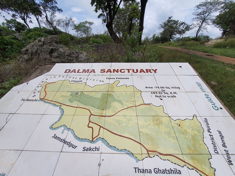 Photo of Dalma Wildlife Sanctuary by Dharmveer