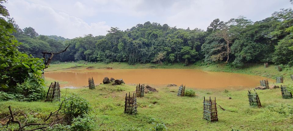 Photo of Dalma Wildlife Sanctuary by Dharmveer