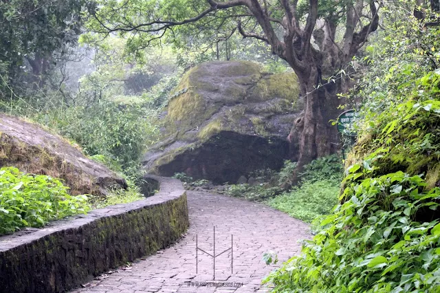 Photo of Way to Brahmagiri, Trimbak, Maharashtra, India by Priyanka RP