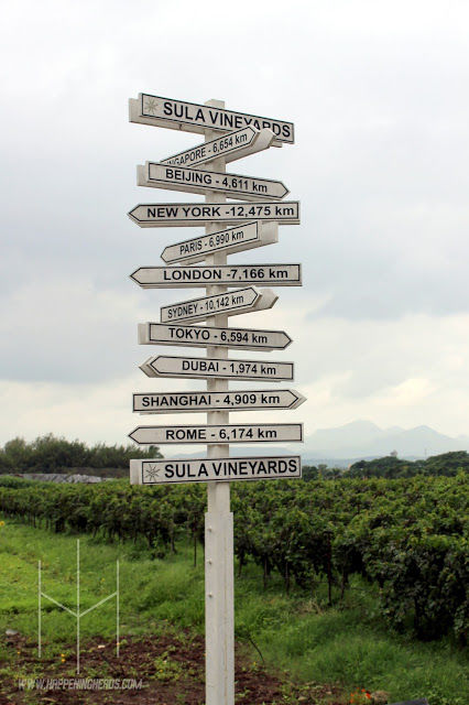 Photo of Sula Vineyards, Gangapur-Savargaon Road, Nashik, Maharashtra, India by Priyanka RP