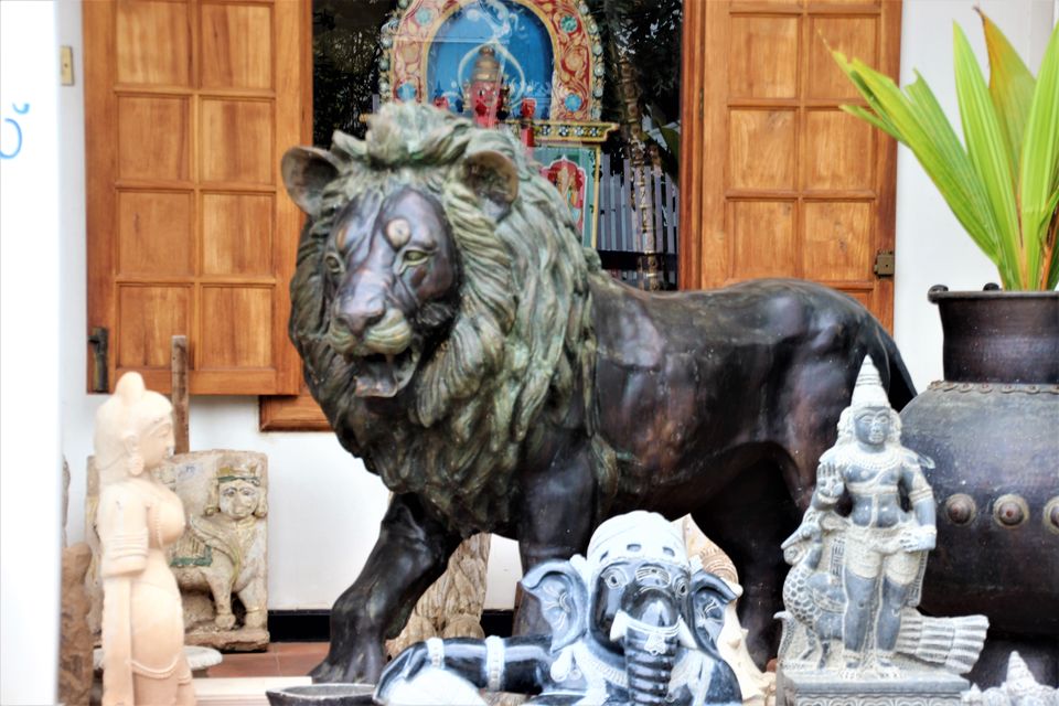 Photo of The World famous “Hamlet” of Mathen 5/7 by Vinod Ponoth