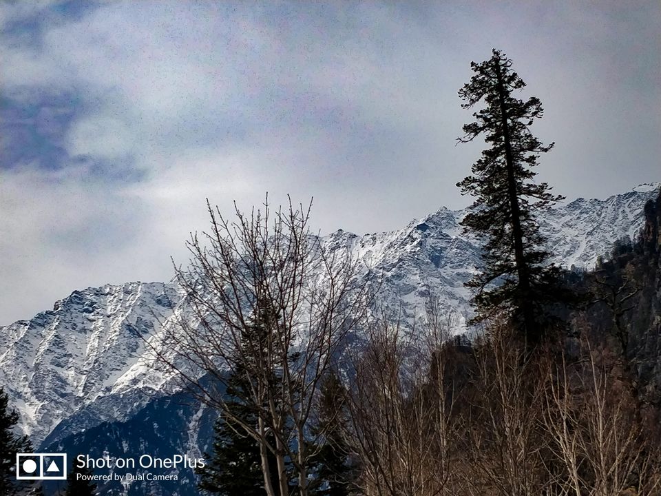 Photo of Manali, Himachal Pradesh, India by Vivek Zode