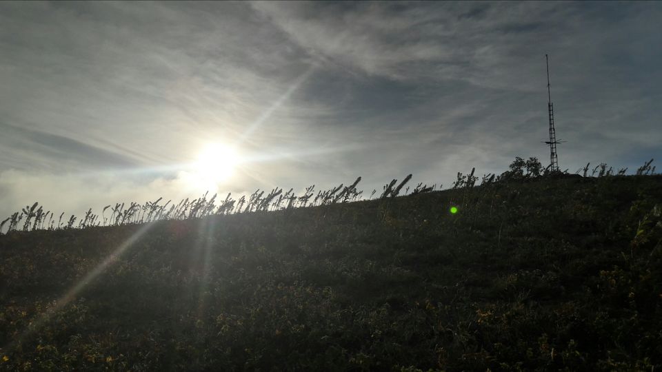 Photo of Coorg Tale : How I found peace amidst Clouds, Coffee Plantation and Lush Green Forest clad hills by Abhirupa Lodh
