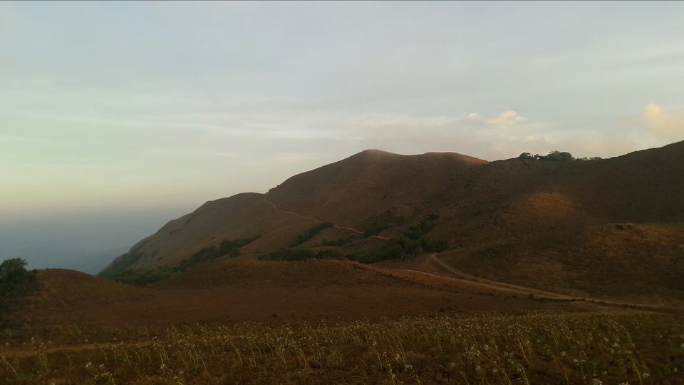 Photo of Coorg Tale : How I found peace amidst Clouds, Coffee Plantation and Lush Green Forest clad hills by Abhirupa Lodh