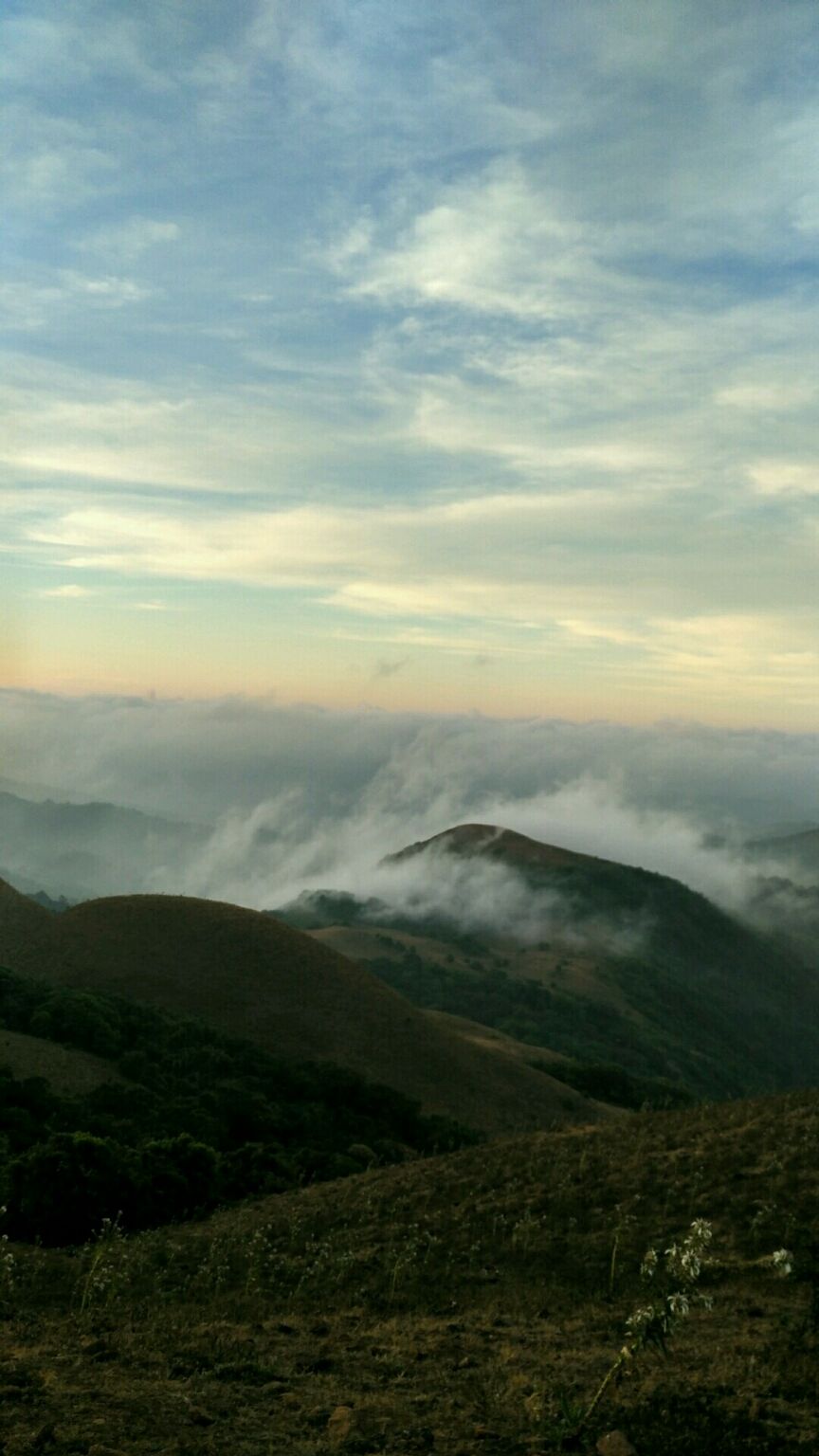 Photo of Coorg Tale : How I found peace amidst Clouds, Coffee Plantation and Lush Green Forest clad hills by Abhirupa Lodh