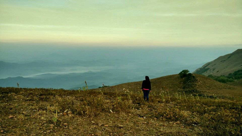 Photo of Coorg Tale : How I found peace amidst Clouds, Coffee Plantation and Lush Green Forest clad hills by Abhirupa Lodh