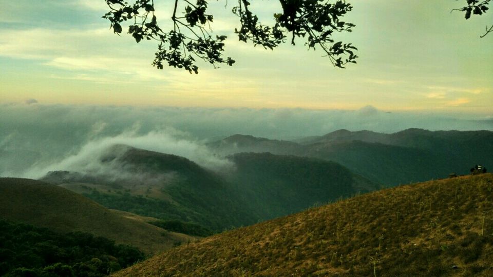 Photo of Coorg Tale : How I found peace amidst Clouds, Coffee Plantation and Lush Green Forest clad hills by Abhirupa Lodh