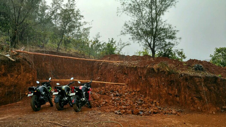 Photo of Coorg Tale : How I found peace amidst Clouds, Coffee Plantation and Lush Green Forest clad hills by Abhirupa Lodh
