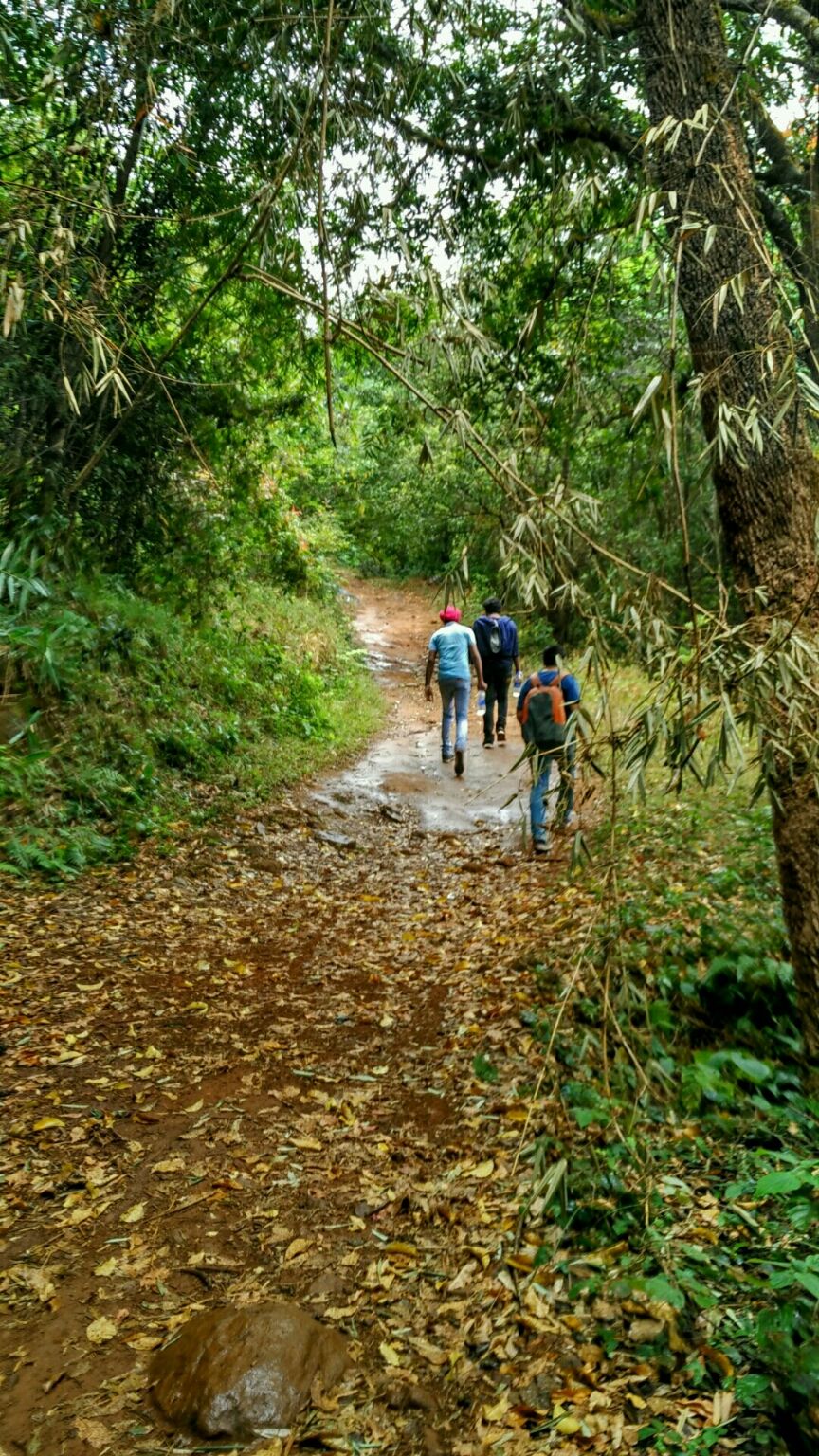 Photo of Coorg Tale : How I found peace amidst Clouds, Coffee Plantation and Lush Green Forest clad hills by Abhirupa Lodh