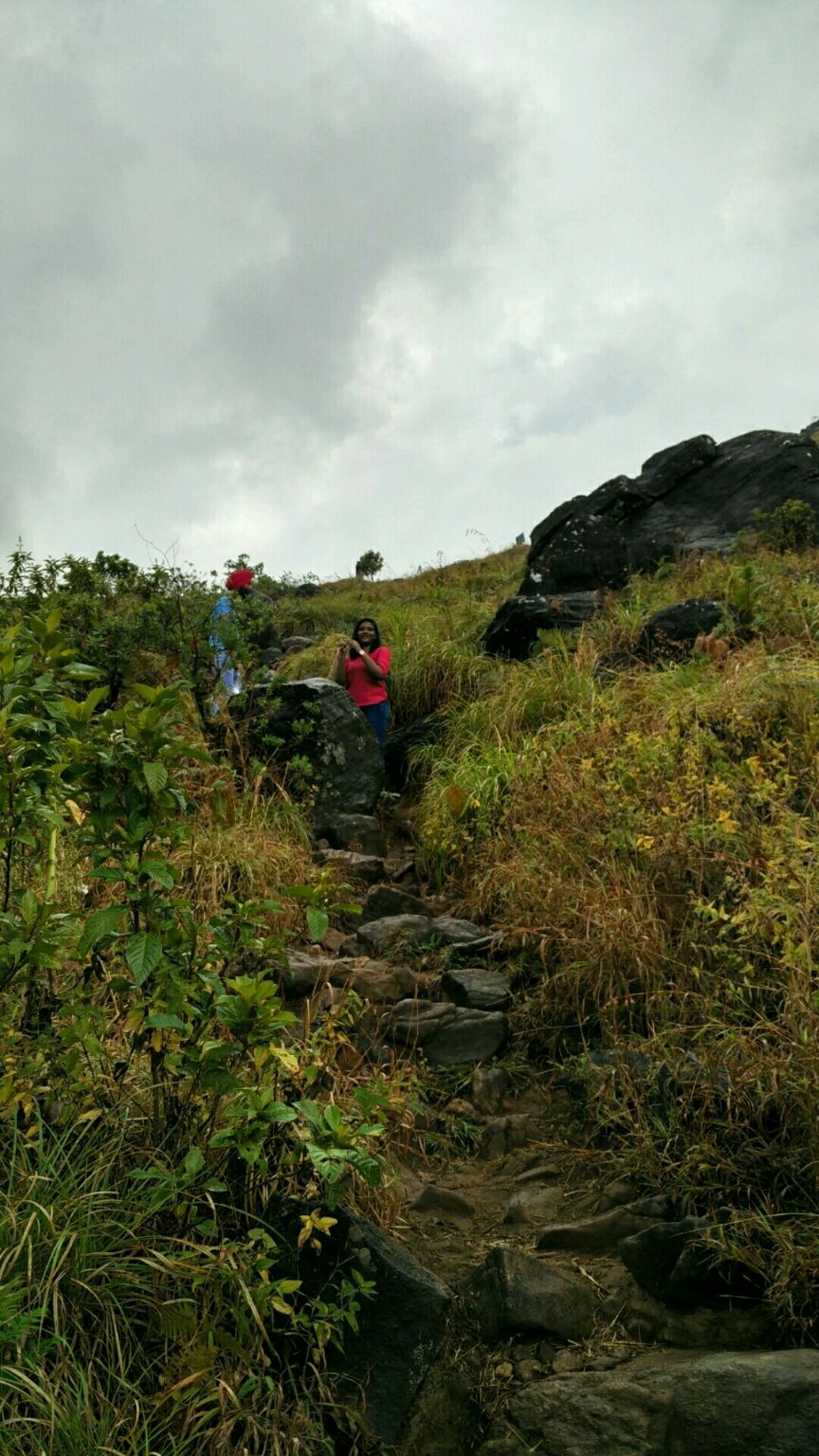 Photo of Coorg Tale : How I found peace amidst Clouds, Coffee Plantation and Lush Green Forest clad hills by Abhirupa Lodh