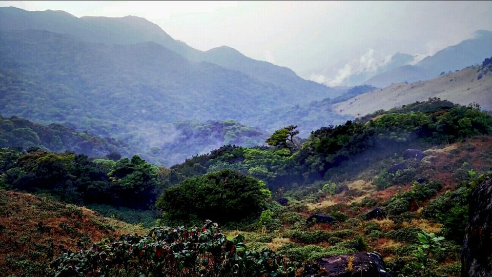 Photo of Coorg Tale : How I found peace amidst Clouds, Coffee Plantation and Lush Green Forest clad hills by Abhirupa Lodh