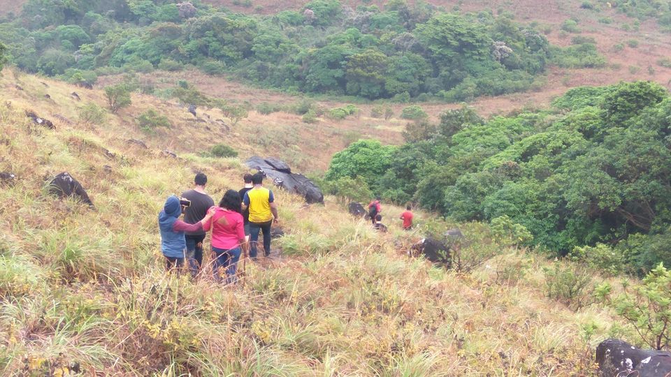 Photo of Coorg Tale : How I found peace amidst Clouds, Coffee Plantation and Lush Green Forest clad hills by Abhirupa Lodh