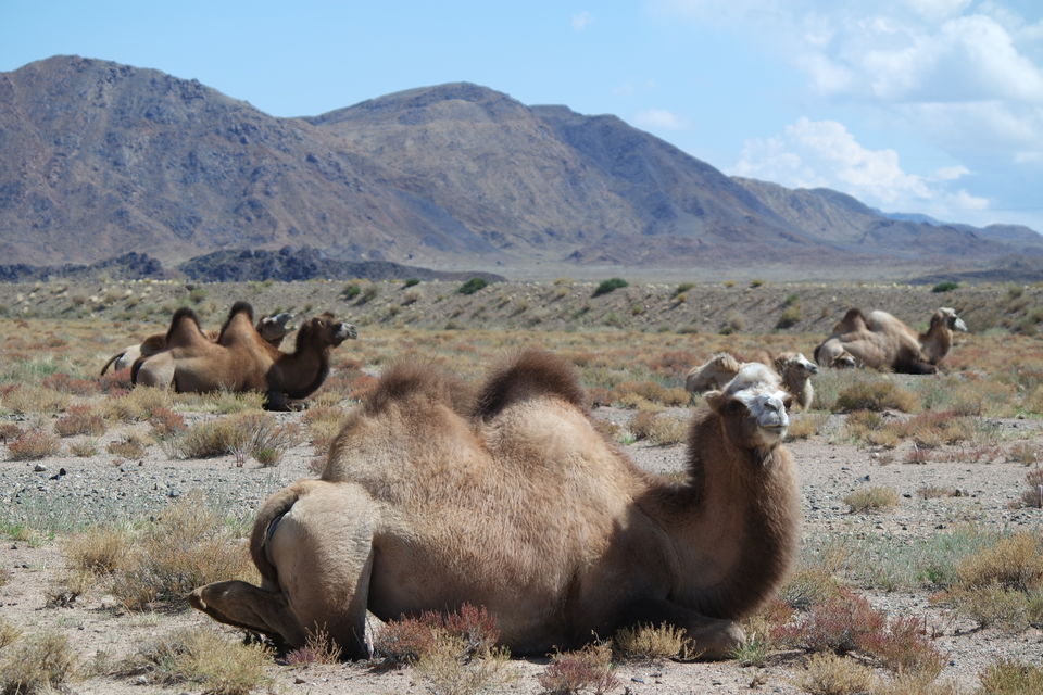 Photo of Kyrgyzstan - The pearl of Central Asia by Wen Tang