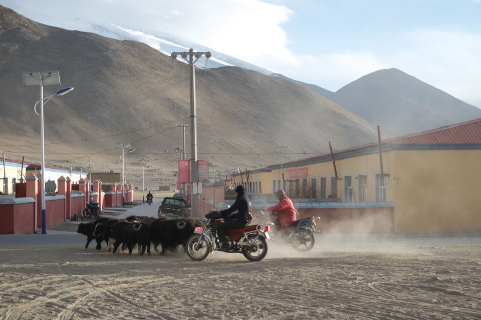 Photo of Flavors of China - Xinjiang by Wen Tang