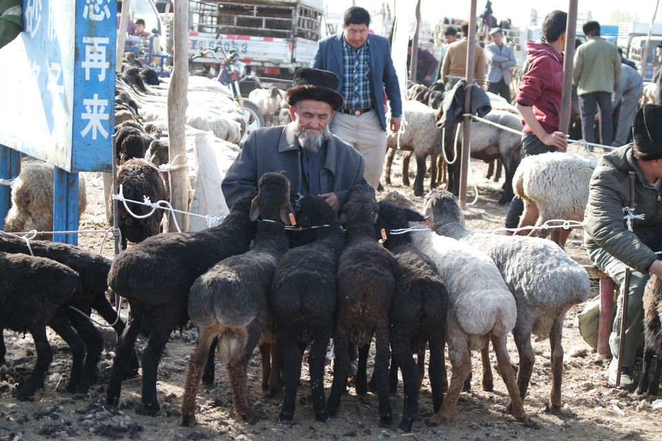 Photo of Flavors of China - Xinjiang by Wen Tang
