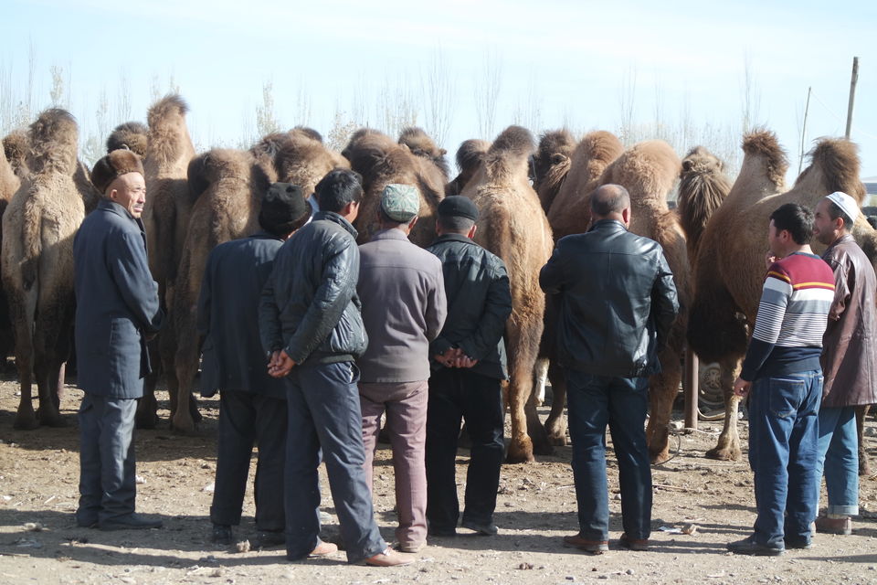 Photo of Flavors of China - Xinjiang by Wen Tang