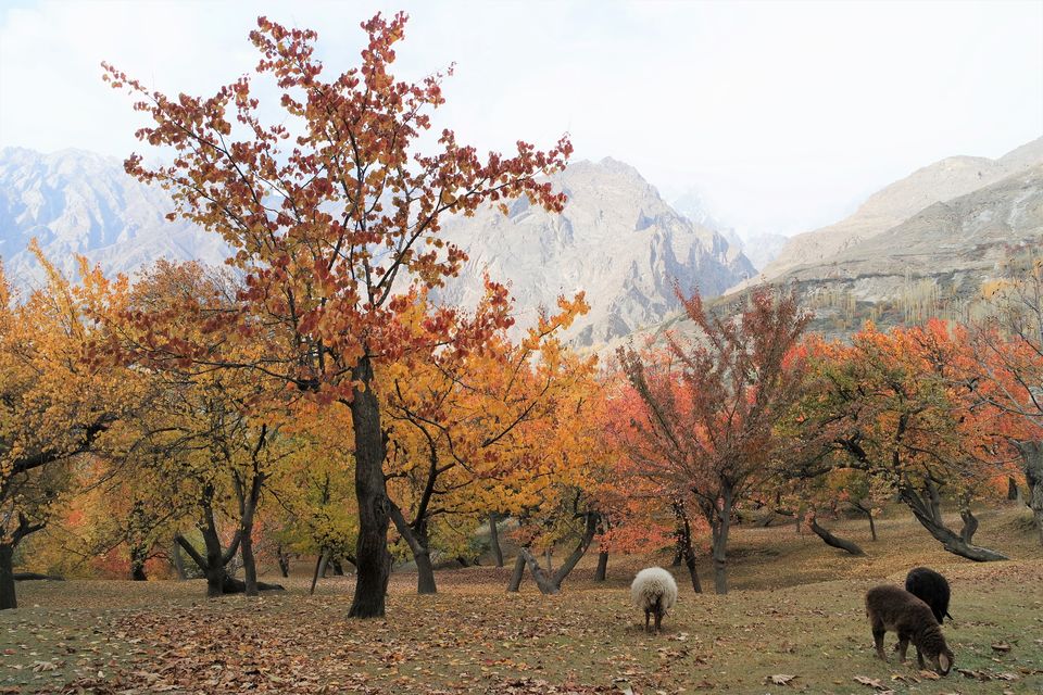 Photo of Pakistan in a new Light by Wen Tang