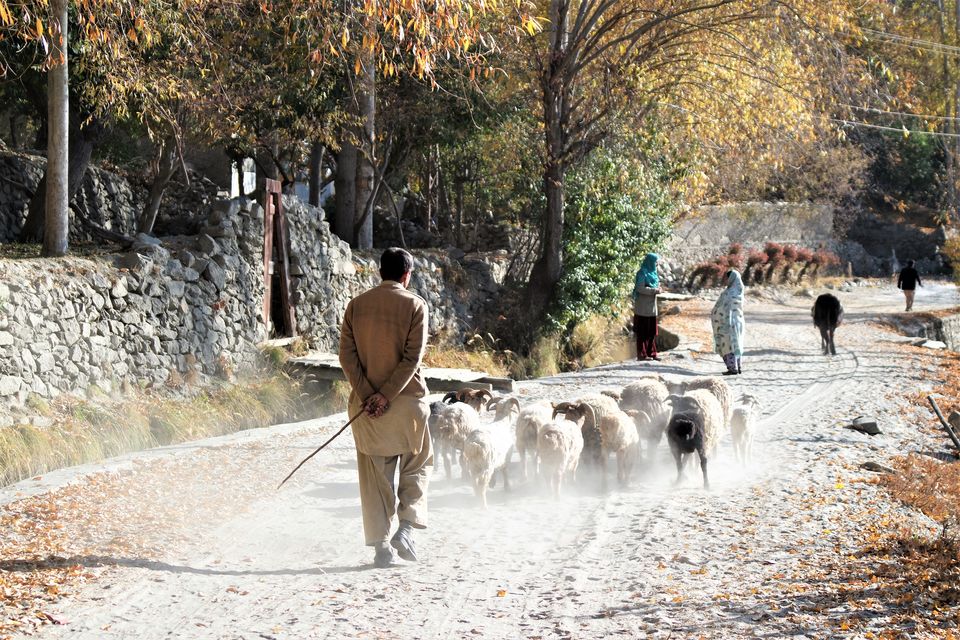 Photo of Pakistan in a new Light by Wen Tang