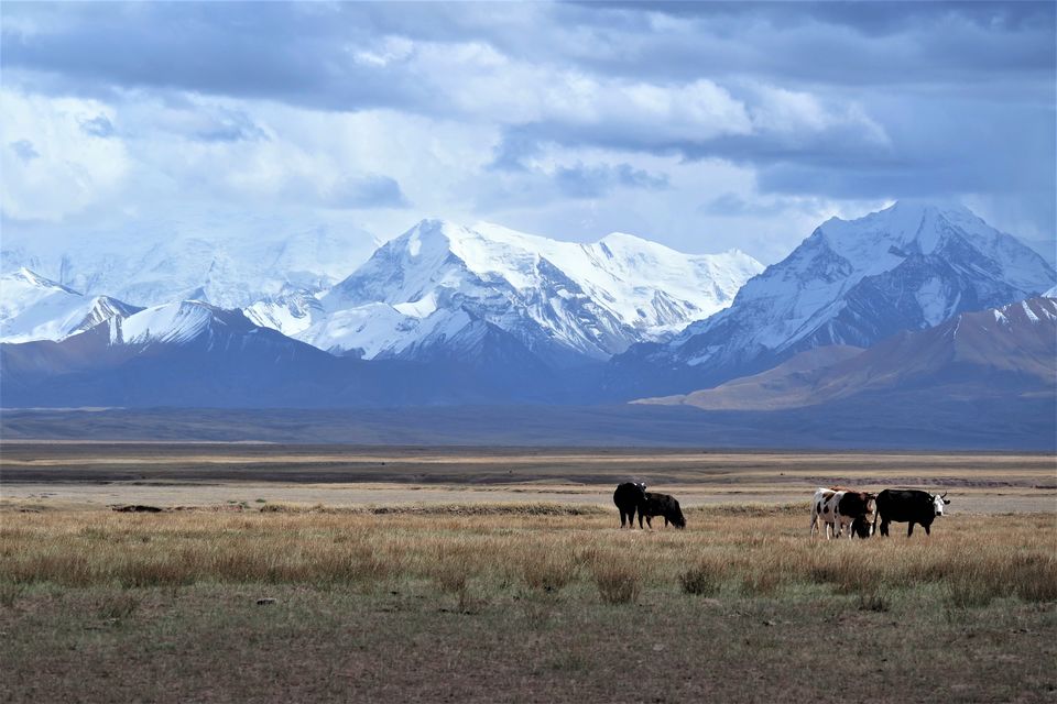 Photo of Tajikistan by Wen Tang