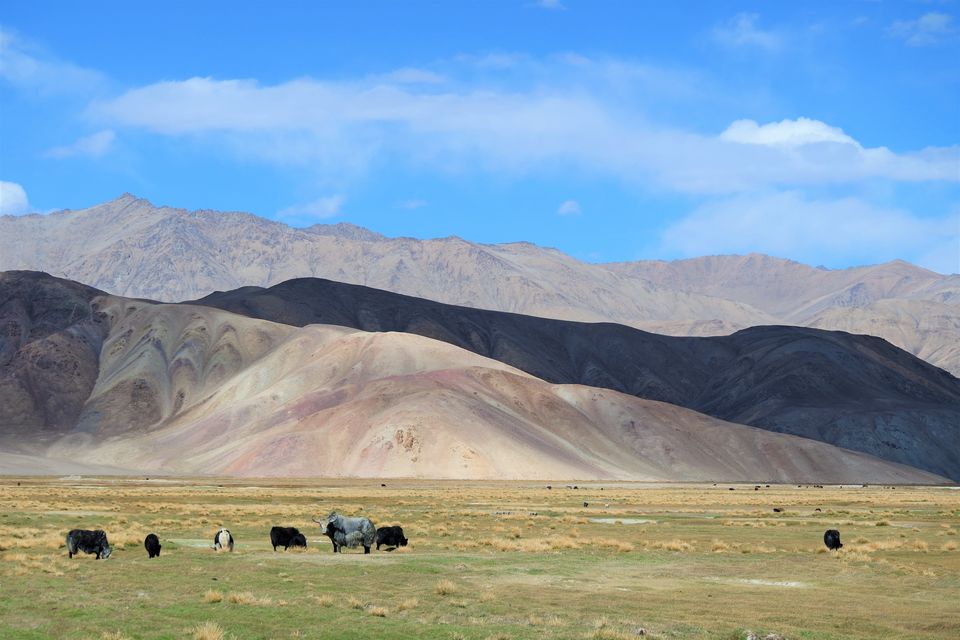 Photo of Wild Frontiers - Tajikistan by Wen Tang