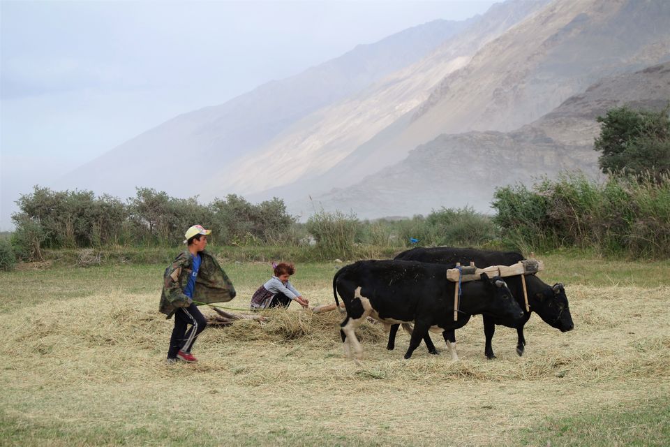 Photo of Wild Frontiers - Tajikistan by Wen Tang