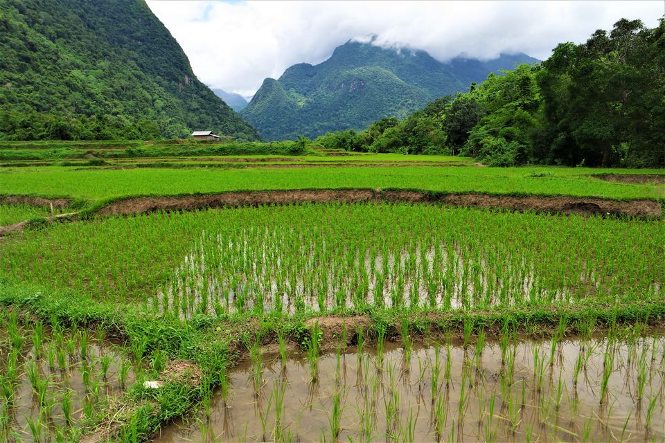 Photo of Sa-bai-Dee, Laos! by Wen Tang